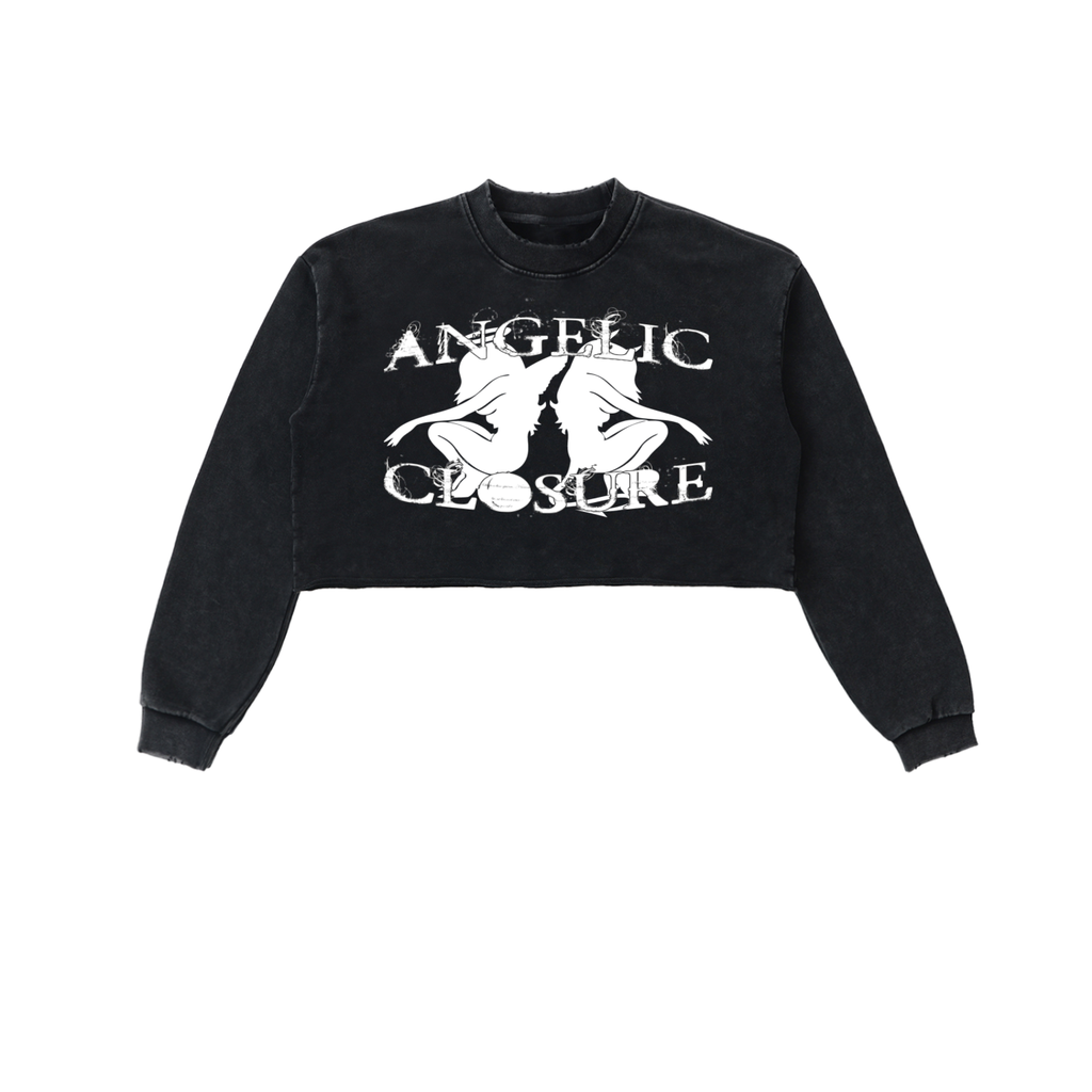 Snow Washed Raw Edge Cropped Sweatshirt