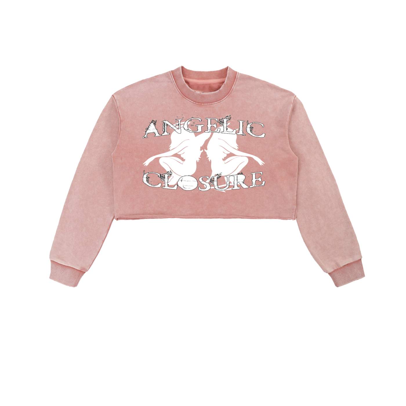 Snow Washed Raw Edge Cropped Sweatshirt