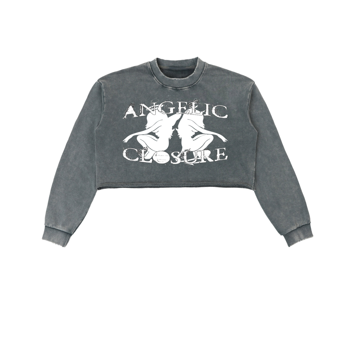 Snow Washed Raw Edge Cropped Sweatshirt