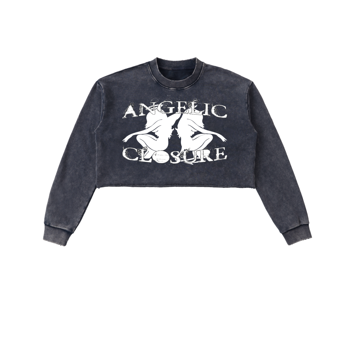 Snow Washed Raw Edge Cropped Sweatshirt